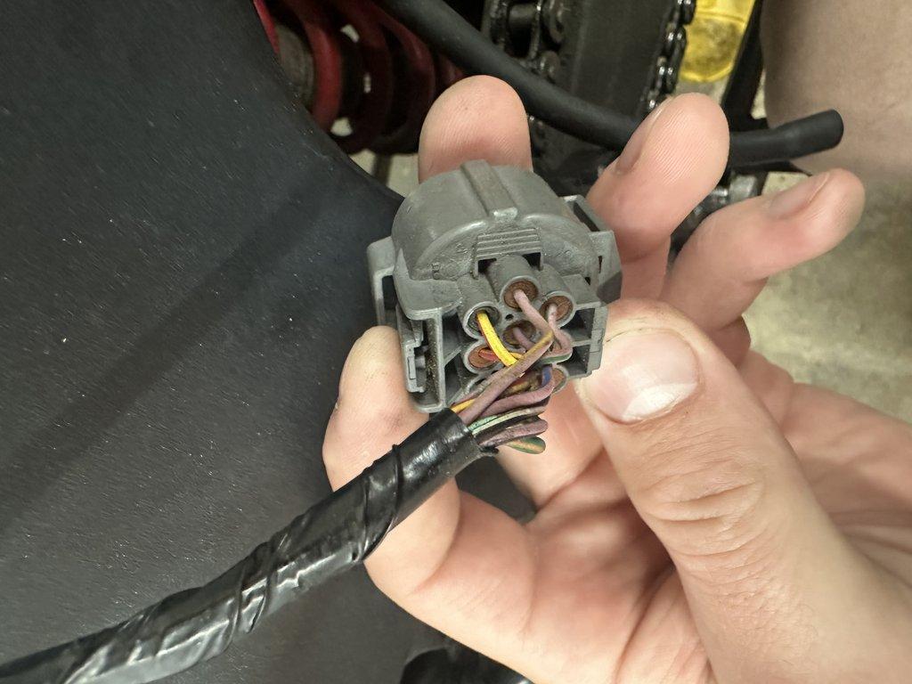 Back view 1 of mating female connector on main harness
