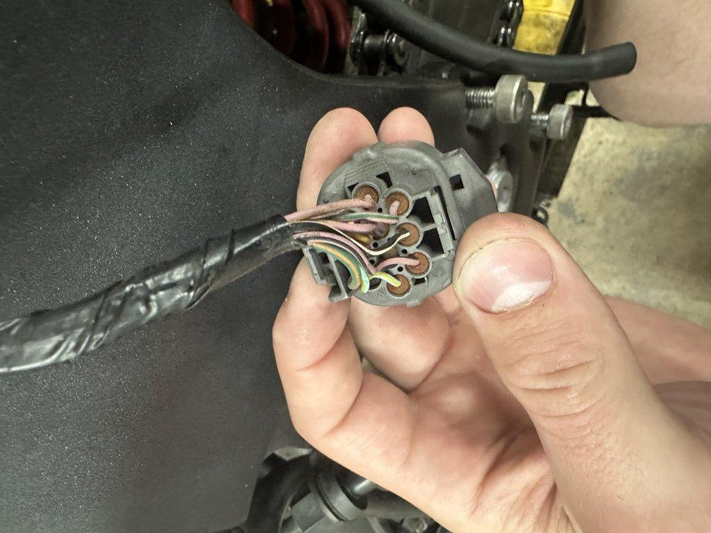 Back view 2 of mating female connector on main harness