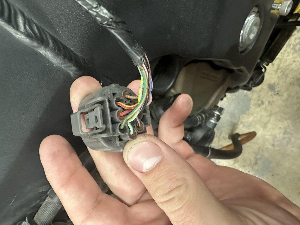 Back view 3 of mating female connector on main harness