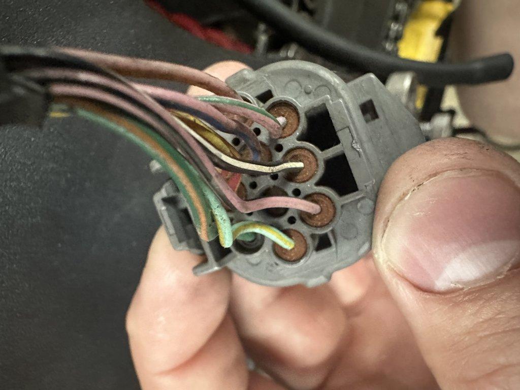 Back view 4 of mating female connector on main harness
