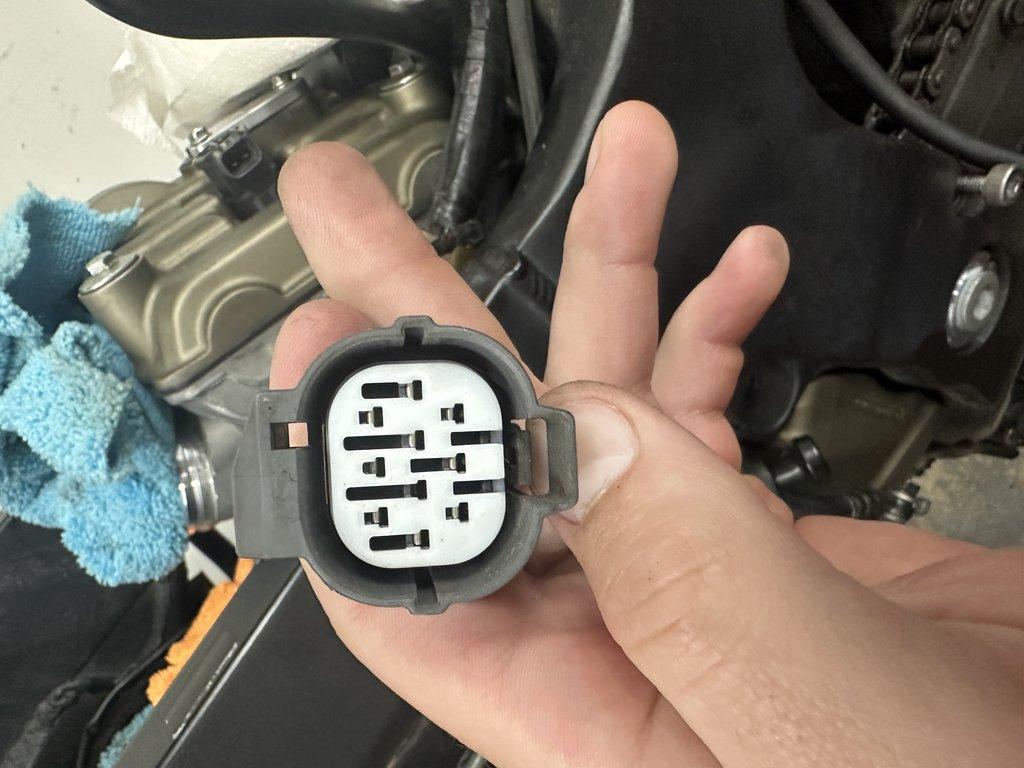 Front view of mating female connector on main harness